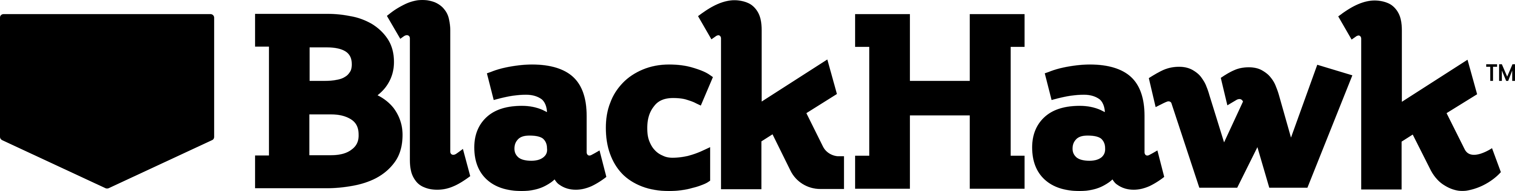 Black Hawk logo