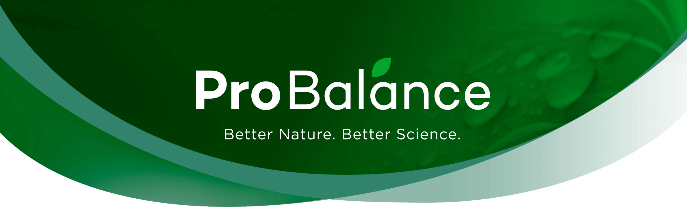 ProBalance logo